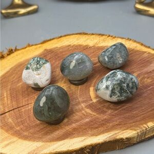 Moss Agate Magnets- set of 5